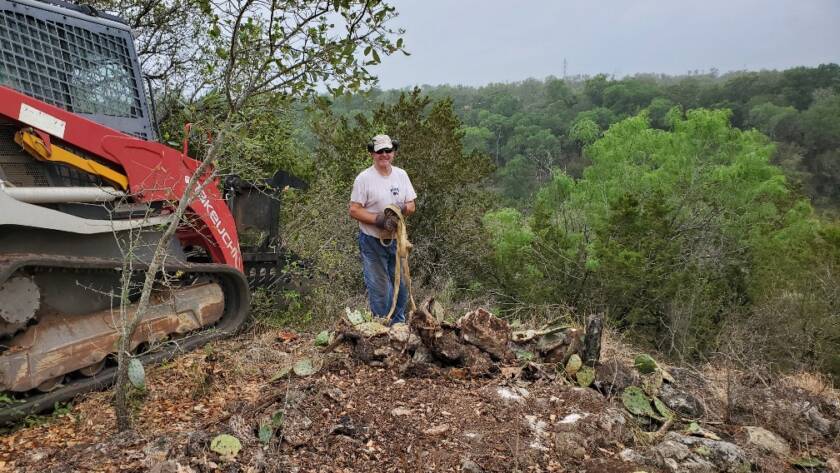 Panoramic site during clearing